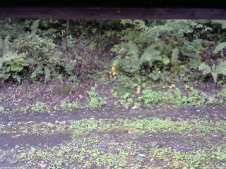 長野県菅平高原 ゆたか山荘 南側 2025/10/01 14:45