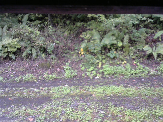 長野県菅平高原 ゆたか山荘 南側 2025/10/01 15:00