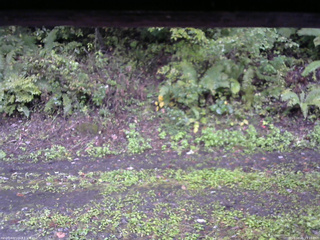 長野県菅平高原 ゆたか山荘 南側 2025/10/01 15:15