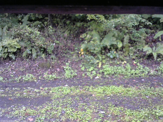 長野県菅平高原 ゆたか山荘 南側 2025/10/01 15:30