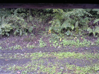 長野県菅平高原 ゆたか山荘 南側 2025/10/01 16:45