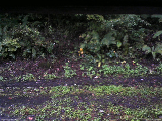 長野県菅平高原 ゆたか山荘 南側 2025/10/01 17:30