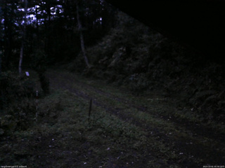 長野県菅平高原 ゆたか山荘 東側(坂下) 2025/10/01 05:30