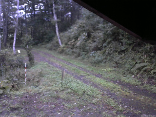 長野県菅平高原 ゆたか山荘 東側(坂下) 2025/10/01 05:45
