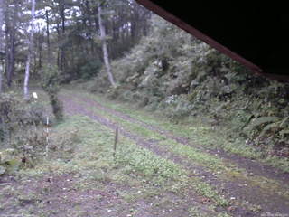 長野県菅平高原 ゆたか山荘 東側(坂下) 2025/10/01 06:00