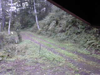 長野県菅平高原 ゆたか山荘 東側(坂下) 2025/10/01 06:15