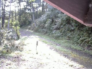 長野県菅平高原 ゆたか山荘 東側(坂下) 2025/10/01 08:00