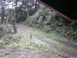 長野県菅平高原 ゆたか山荘 東側(坂下) 2025/10/01 08:15