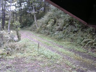 長野県菅平高原 ゆたか山荘 東側(坂下) 2025/10/01 09:30