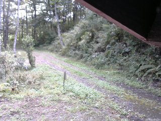 長野県菅平高原 ゆたか山荘 東側(坂下) 2025/10/01 09:45