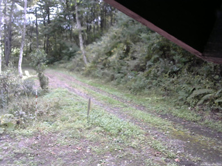 長野県菅平高原 ゆたか山荘 東側(坂下) 2025/10/01 10:45