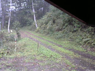 長野県菅平高原 ゆたか山荘 東側(坂下) 2025/10/01 12:00