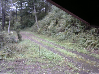 長野県菅平高原 ゆたか山荘 東側(坂下) 2025/10/01 14:30