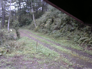 長野県菅平高原 ゆたか山荘 東側(坂下) 2025/10/01 14:45