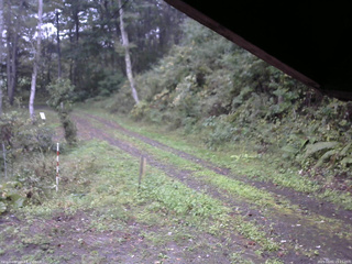 長野県菅平高原 ゆたか山荘 東側(坂下) 2025/10/01 15:15