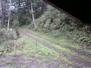 長野県菅平高原 ゆたか山荘 東側(坂下) 2025/10/01 15:30