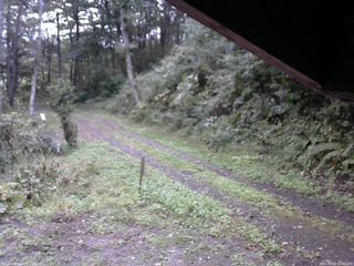 長野県菅平高原 ゆたか山荘 東側(坂下) 2025/10/01 15:45