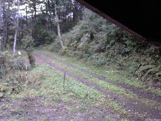 長野県菅平高原 ゆたか山荘 東側(坂下) 2025/10/01 16:00