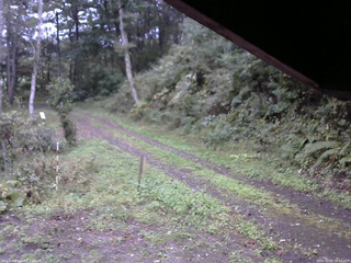 長野県菅平高原 ゆたか山荘 東側(坂下) 2025/10/01 16:15