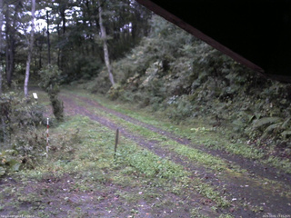 長野県菅平高原 ゆたか山荘 東側(坂下) 2025/10/01 17:15