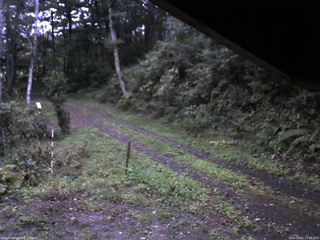 長野県菅平高原 ゆたか山荘 東側(坂下) 2025/10/01 17:30