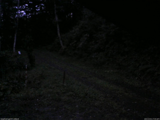 長野県菅平高原 ゆたか山荘 東側(坂下) 2025/10/01 17:45