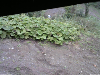長野県菅平高原 ゆたか山荘 駐車場 2025/10/01 11:45