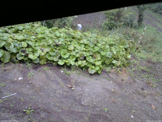 長野県菅平高原 ゆたか山荘 駐車場 2025/10/01 15:15