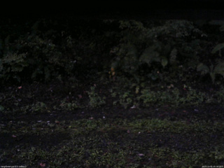 長野県菅平高原 ゆたか山荘 南側 2025/10/02 05:30