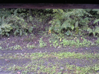 長野県菅平高原 ゆたか山荘 南側 2025/10/02 06:00