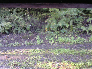 長野県菅平高原 ゆたか山荘 南側 2025/10/02 06:30