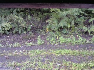 長野県菅平高原 ゆたか山荘 南側 2025/10/02 06:45