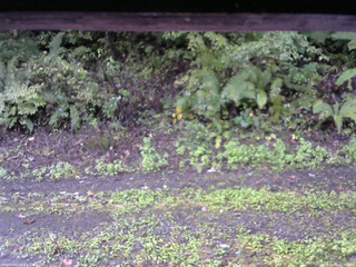 長野県菅平高原 ゆたか山荘 南側 2025/10/02 07:00