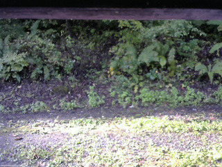 長野県菅平高原 ゆたか山荘 南側 2025/10/02 07:15