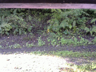 長野県菅平高原 ゆたか山荘 南側 2025/10/02 07:30