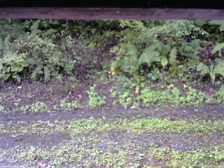 長野県菅平高原 ゆたか山荘 南側 2025/10/02 07:45