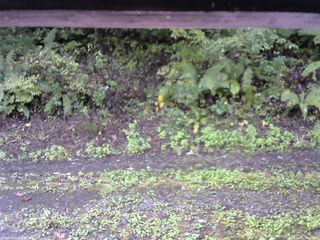 長野県菅平高原 ゆたか山荘 南側 2025/10/02 08:00