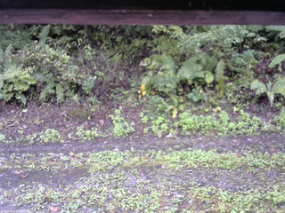 長野県菅平高原 ゆたか山荘 南側 2025/10/02 08:45