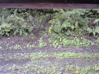 長野県菅平高原 ゆたか山荘 南側 2025/10/02 09:00