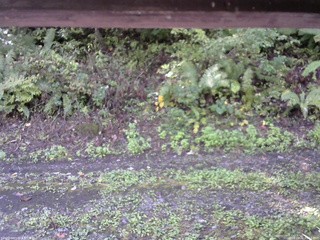 長野県菅平高原 ゆたか山荘 南側 2025/10/02 09:15