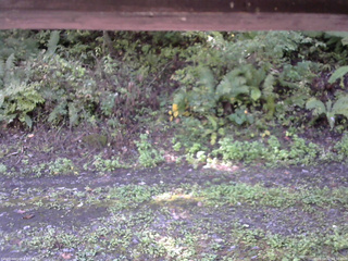 長野県菅平高原 ゆたか山荘 南側 2025/10/02 09:30