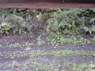 長野県菅平高原 ゆたか山荘 南側 2025/10/02 09:45