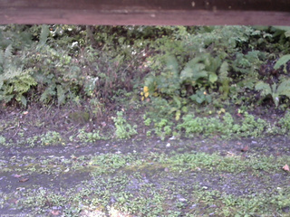 長野県菅平高原 ゆたか山荘 南側 2025/10/02 10:00