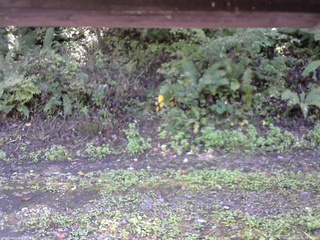 長野県菅平高原 ゆたか山荘 南側 2025/10/02 10:30