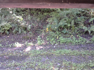 長野県菅平高原 ゆたか山荘 南側 2025/10/02 10:45