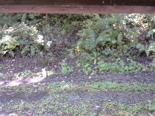 長野県菅平高原 ゆたか山荘 南側 2025/10/02 11:00