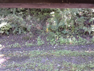 長野県菅平高原 ゆたか山荘 南側 2025/10/02 11:15