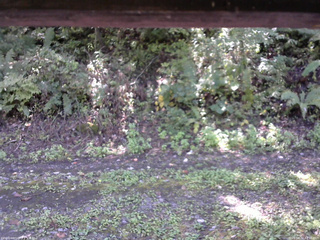 長野県菅平高原 ゆたか山荘 南側 2025/10/02 11:30