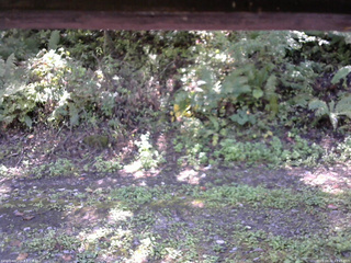 長野県菅平高原 ゆたか山荘 南側 2025/10/02 11:45