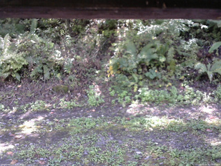 長野県菅平高原 ゆたか山荘 南側 2025/10/02 12:00